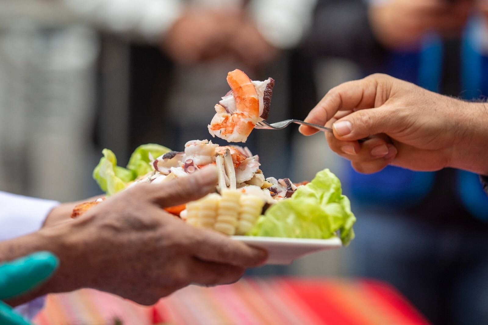 Conoce una alternativa para estas Fiestas Patrias 2024. (Foto: Difusión/ Municipalidad de Lima)