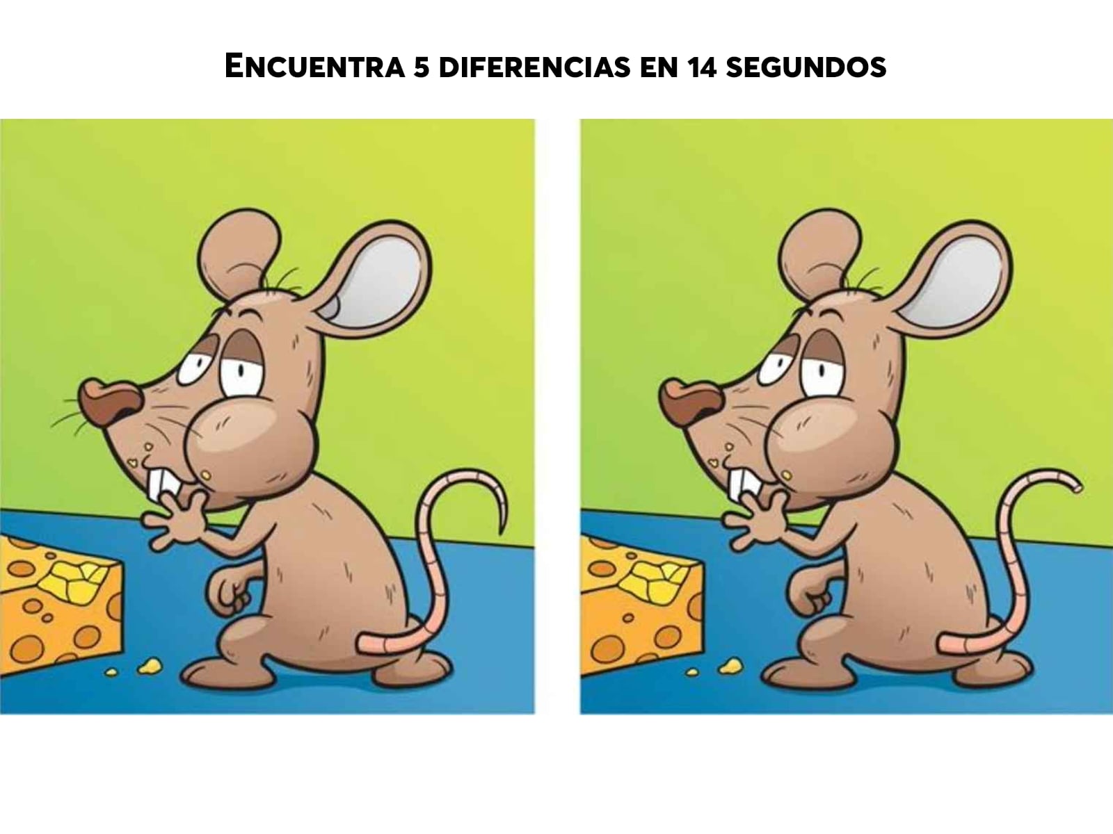 RETO VISUAL | Encuentra 5 diferencias entre las imágenes del ratón comiendo queso en 14 segundos. | jagranjosh