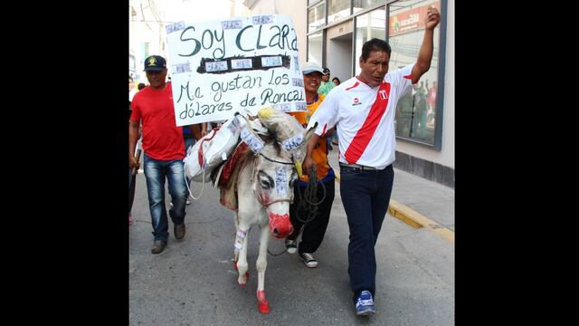 El burro maltratado por trabajadores de Pucalá [FOTOS]