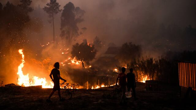 Este verano, el fuego carbonizó el 25% de la mayor área protegida de Portugal