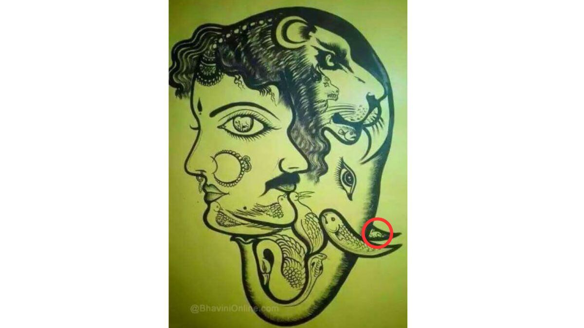 RETO VISUAL | ¿Lograste hallar rápidamente el conejo?