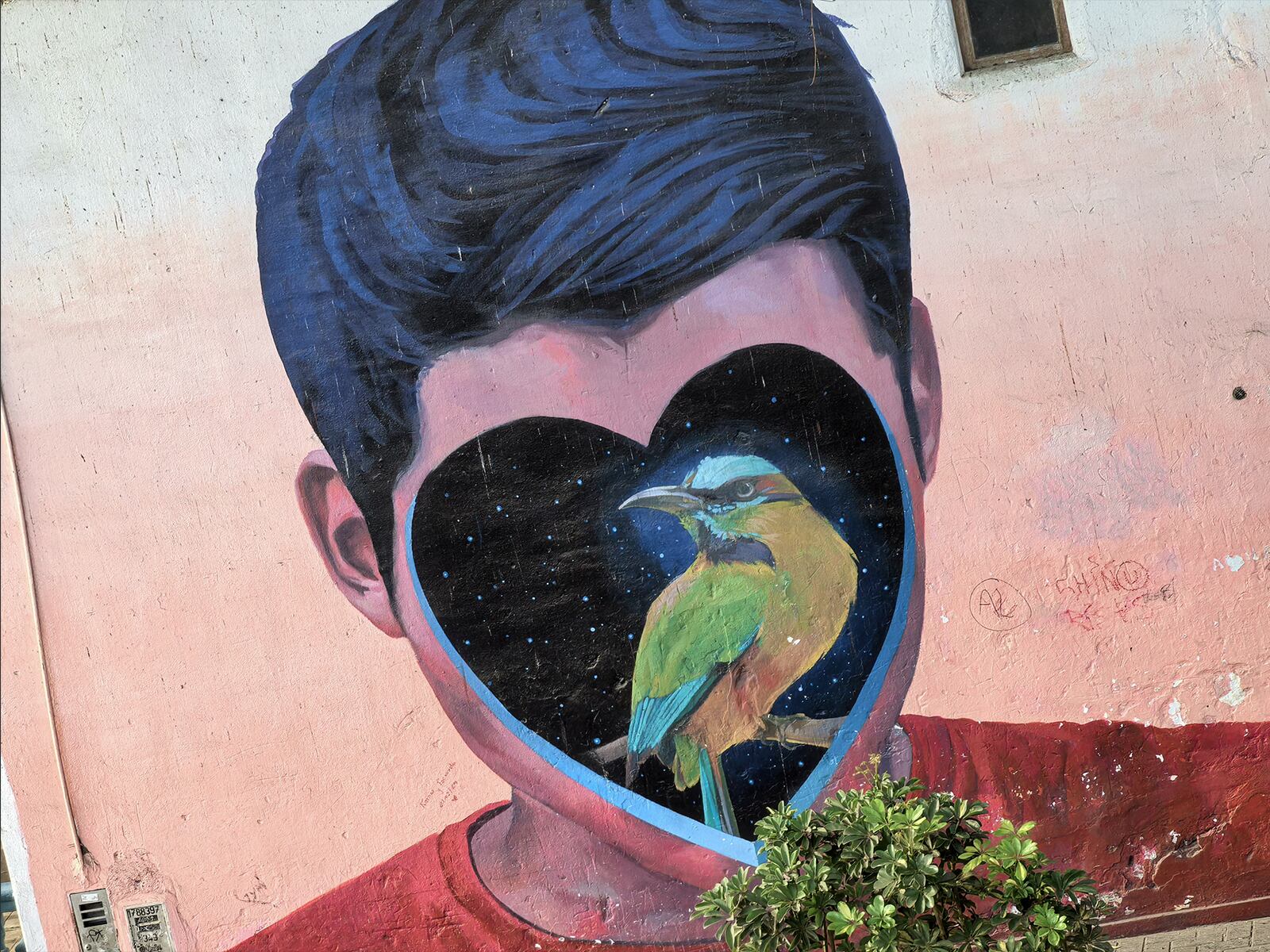 REVIEW | Así toma las fotos el Huawei Pura 70. (Foto: MAG - Rommel Yupanqui)