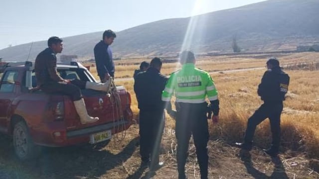 Huancayo: vaca embravecida embiste y mata a mujer en el barrio Mantaro