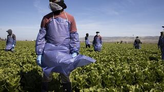 Estados Unidos: lista actualizada de países que pueden solicitar las visas H-2A y H-2B desde noviembre