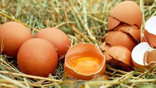 Día mundial del huevo: ¿Cuáles son los beneficios de consumir este alimento?