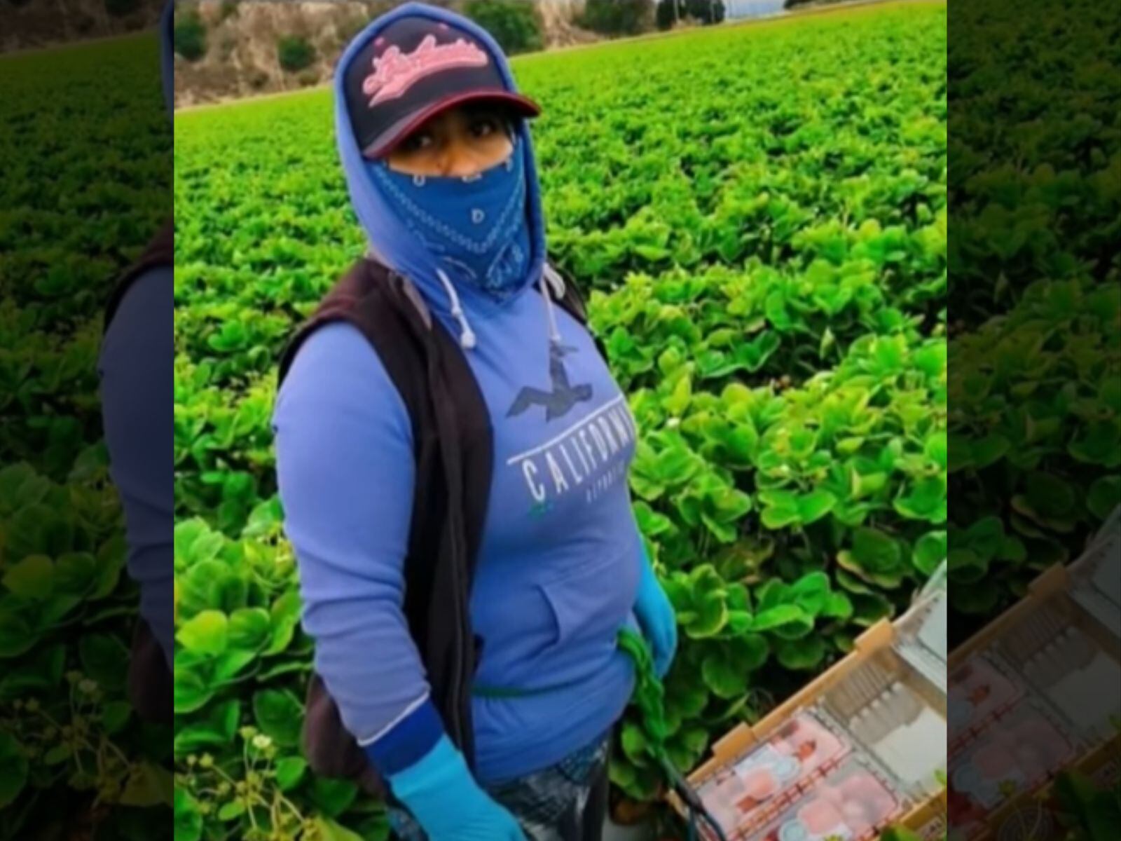 La madre estaba esperando su quinto hijo. Ahora se encuentra recluida y se desconoce si está bien de salud. (Créditos: Univision Noticias | YouTube)