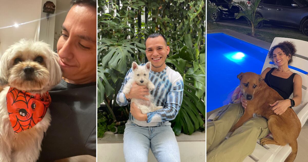 De izquierda a derecha: Marco Guevara, Bayron Calderón y Cinthya Ugarte, tres adoptantes nos comparten la historia que los une a sus mascotas.