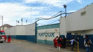 Áncash: empresa pesquera Hayduk suspende actividades tras detectarse un caso de COVID-19