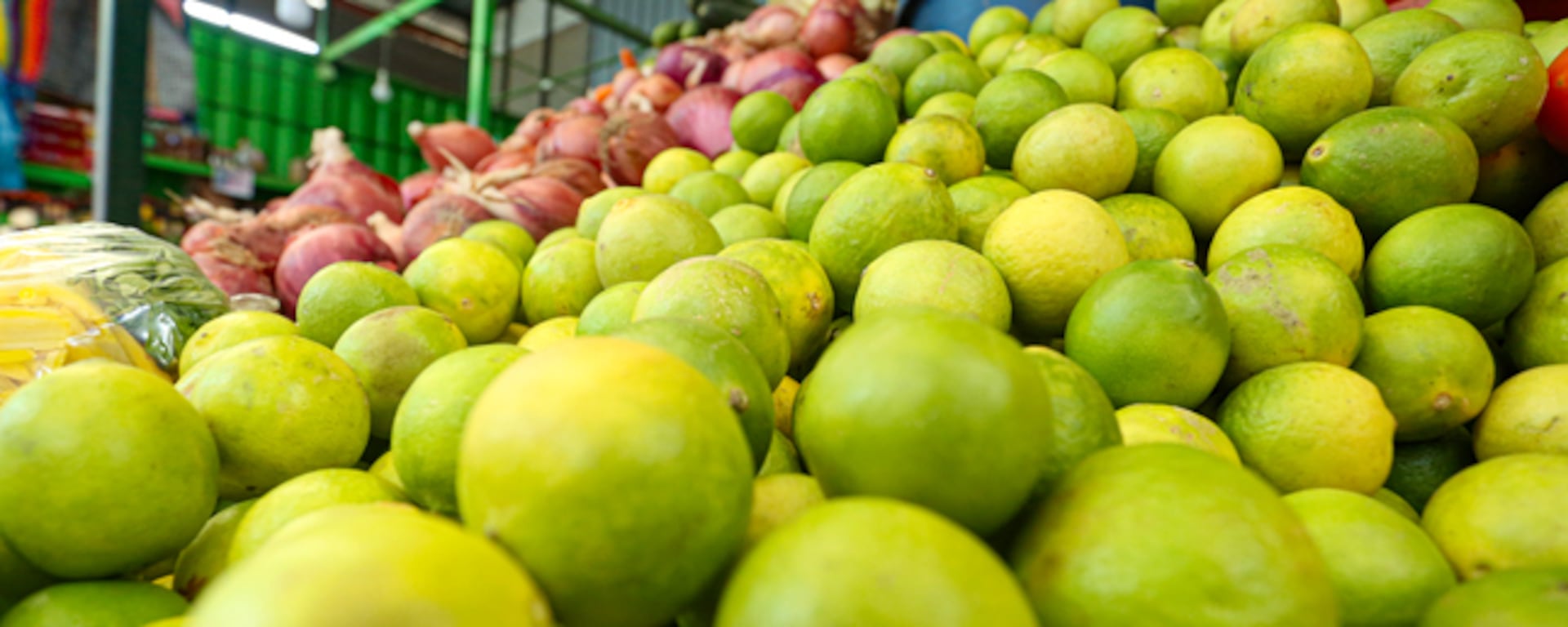 Precio del limón: ¿cuáles son las causas de la subida y cuándo podría normalizarse? | ANÁLISIS