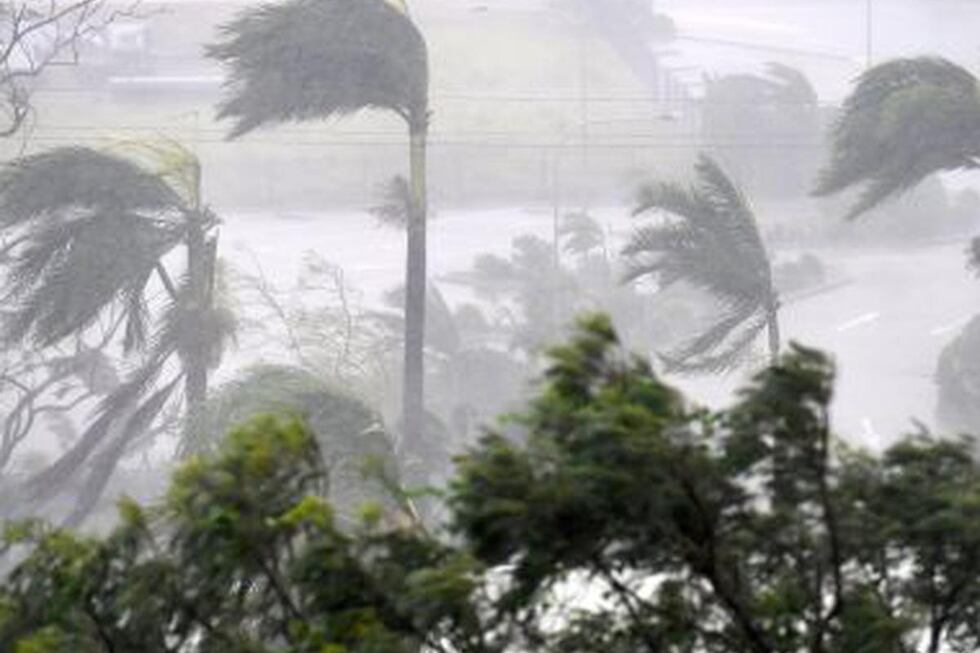 Advierten vientos de moderada intensidad en cinco regiones de la selva. (Foto: Andina)