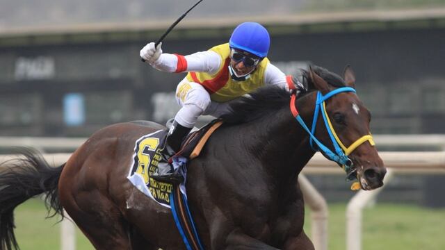 El Clásico Ciudad de Lima se correrá este domingo en el Hipódromo de Monterrico