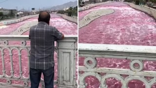 Alerta por coloración rojiza en el río Rímac: las razones detrás de este inusual color