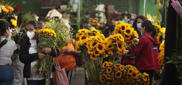 ¿Por qué se regalan flores amarillas el 21 de marzo en México?