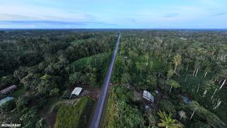 Cultivos de palma de aceite y balsa detonan deforestación al norte de Amazonía ecuatoriana