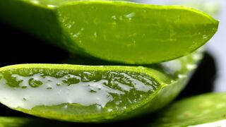 Conoce el desmaquillante con aloe vera que es ideal para todo tipo de piel