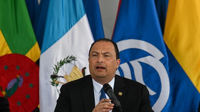 El canciller de Guatemala asegura que las elecciones del país serán “transparentes”