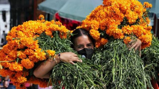 Día de Muertos en México: ¿qué es la flor de cempasúchil y dónde puedes conseguirla en CDMX?