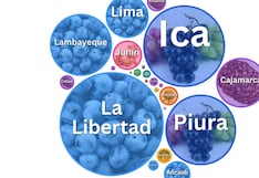 Trump anuncia nuevos aranceles: Cinco gráficos para entender cómo el Perú se benefició de las exportaciones agrícolas a EE.UU tras el TLC del 2009