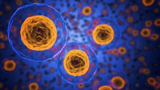 Cáncer | La nueva y prometedora técnica que elimina las células malignas