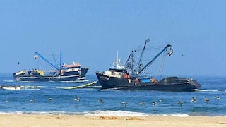 Cuota de pesca de jurel para pesqueras será de 80.000 toneladas 