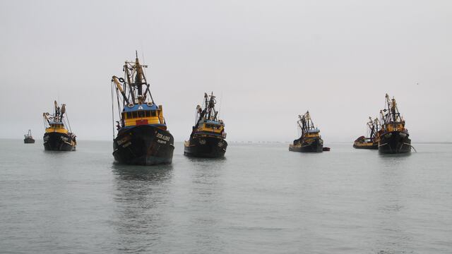 Produce presentó 10 demandas de nulidad de derechos de pesca otorgados irregularmente por el PJ