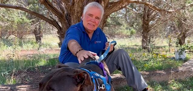 Moogan, el perro ciego que evitó que un hombre sea atacado por una serpiente de cascabel