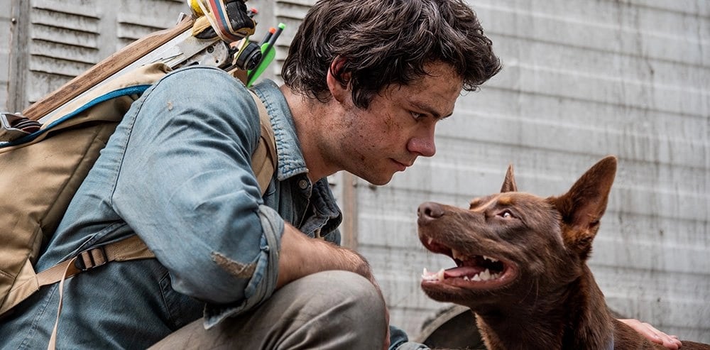 Boy es un perro callejero que aparece en “Amor y monstruos” cuando salva a Joel. (Foto: Netflix)