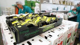 Camposol elevará en 30% el precio de sus espárragos