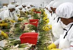 Del liderazgo a la caída: el espárrago pasó del primer al quinto lugar de las agroexportaciones peruanas entre 2012 y 2024 ¿Qué ocurrió con el primer cultivo bandera peruano?