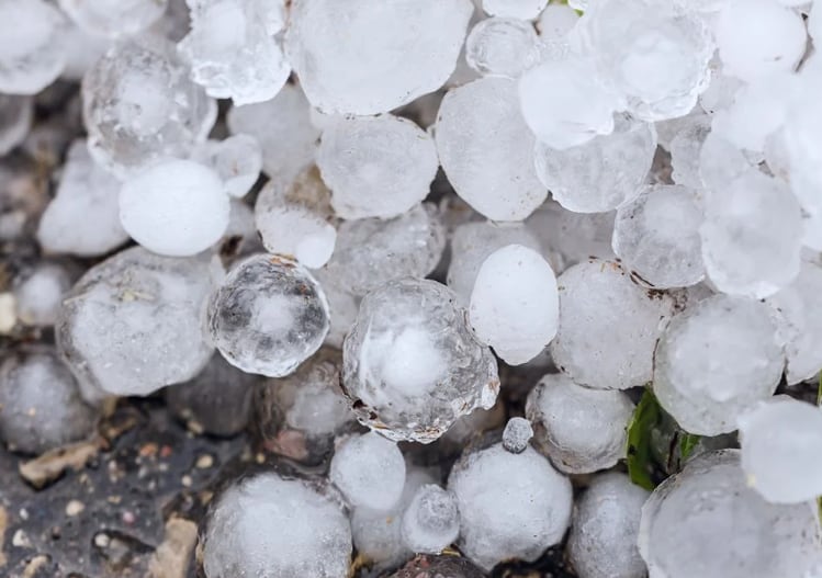 El granizo grande no es común en el noroeste del Pacífico (Foto: AFP)