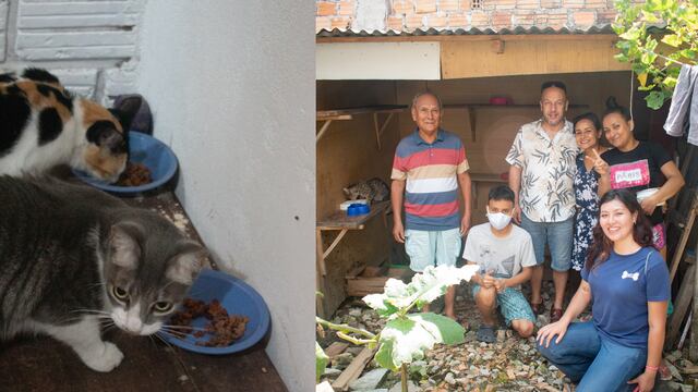 WUF lleva ayuda a distintos albergues de perros y gatos alrededor del país