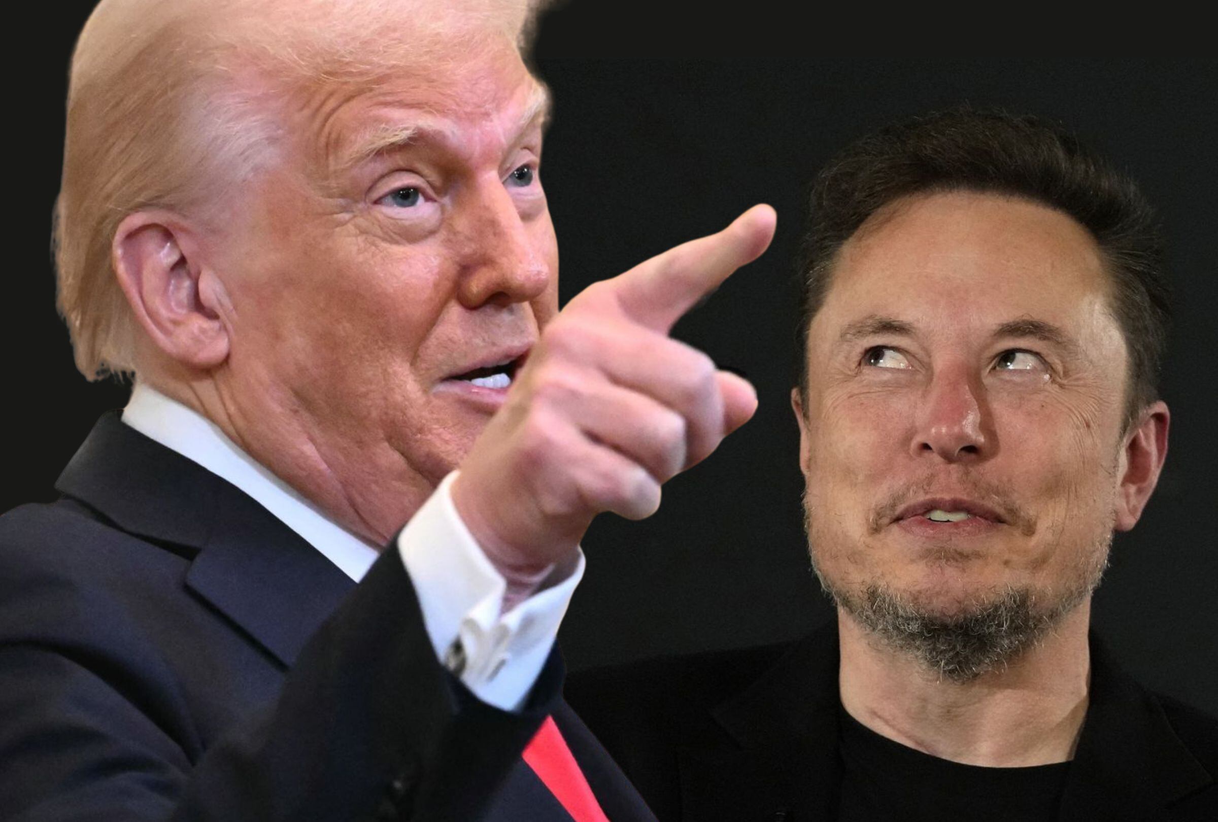 El presidente Donald Trump reveló cuál será el futuro de Elon Musk al frente del DOGE (Foto: AFP)