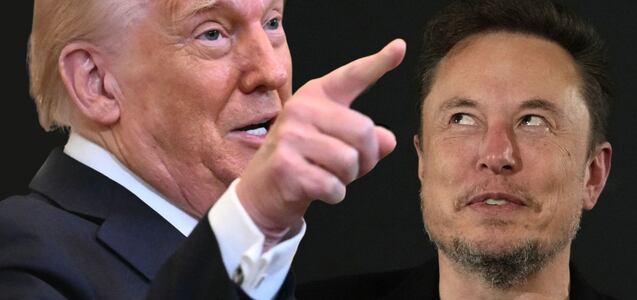 ¿Hasta cuándo Elon Musk trabajará para el Gobierno de los EEUU según Donald Trump?