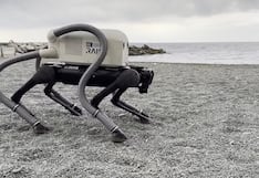 Un perro robot para limpiar las playas: con aspiradora en sus patas recoge colillas de cigarros