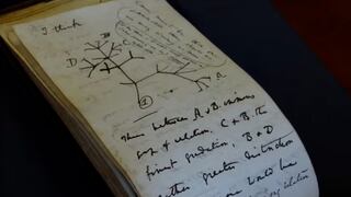 Devueltos a Cambridge de forma anónima dos cuadernos perdidos de Darwin