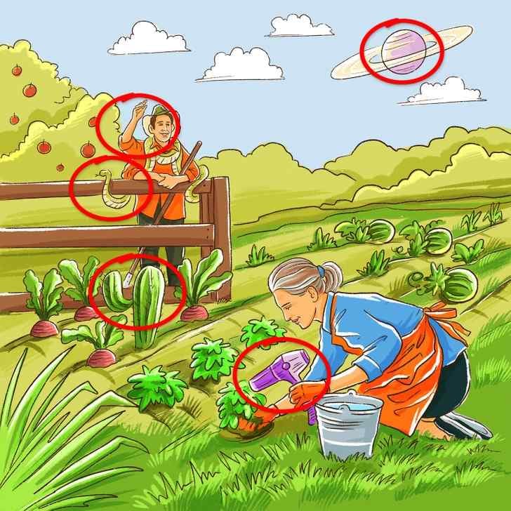 ¿Qué te pareció el reto? ¿Lograste encontrar todos los errores en 11 segundos? Comparte tu experiencia y reta a tus amigos a superar tu tiempo.