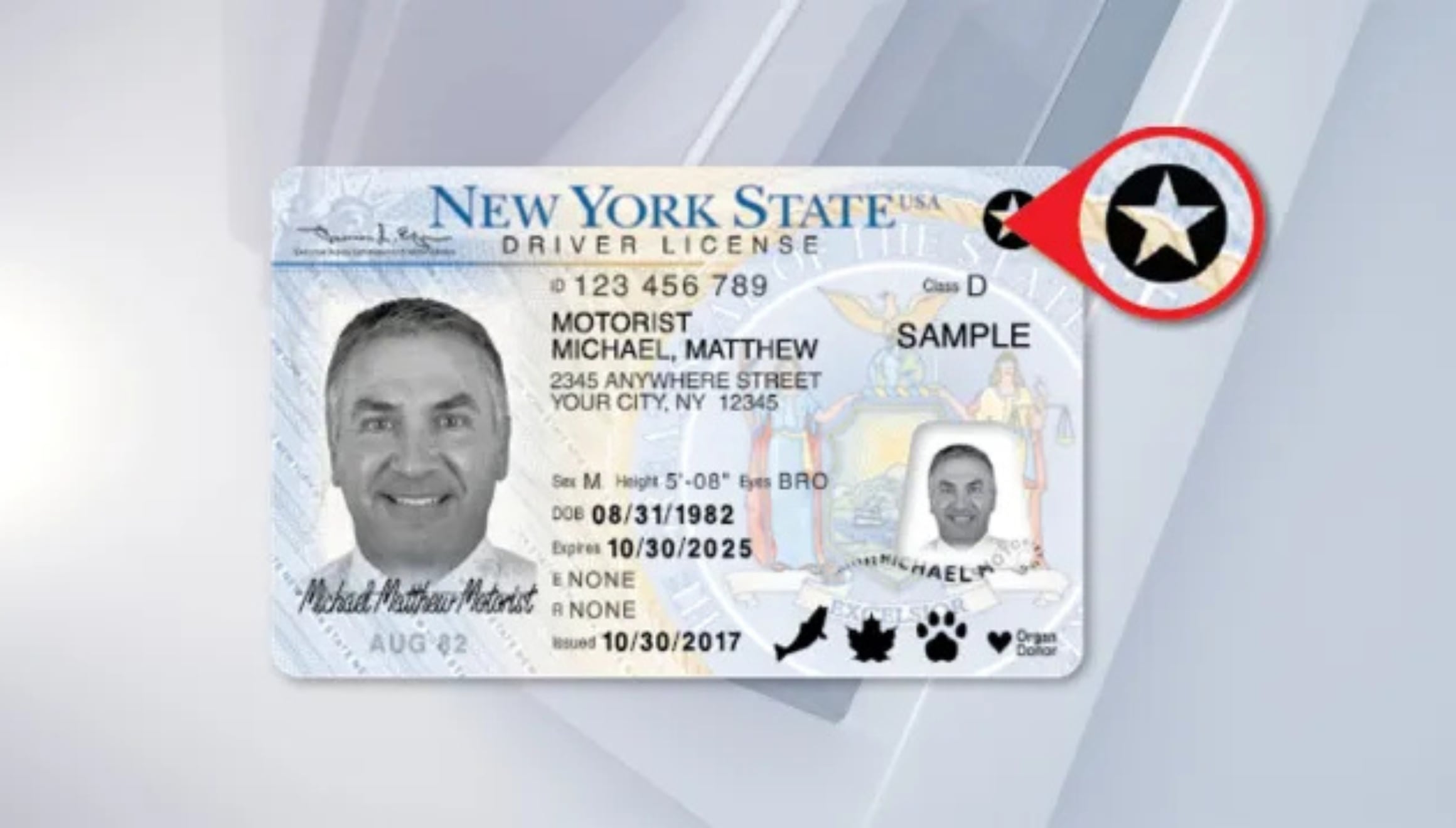 Así se ve un documento con Real ID del estado de Nueva York (Crédito: U.S. Department of Homeland Security / Freepik / Imagen referencial no válida legalmente, solo usada con fines educativos)