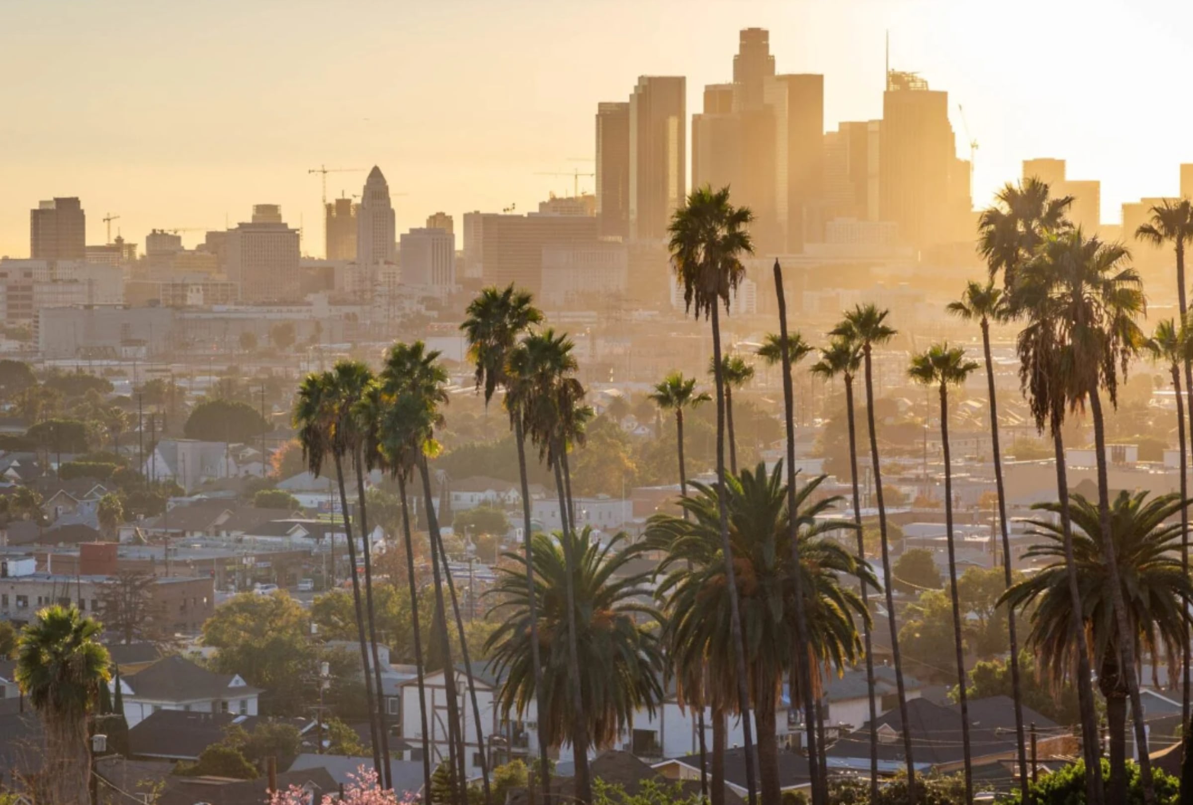 El estado de California ha estado soportando una crisis de vivienda desde hace varios años (Foto: AFP)