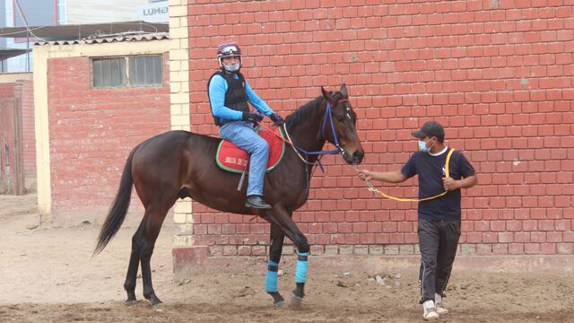 Gran Derby Nacional 2021: los mejores ejemplares del Perú listos para conseguir la gloria