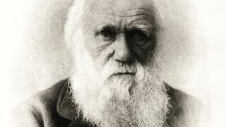 El famoso “árbol de la vida” de Charles Darwin ha sido robado
