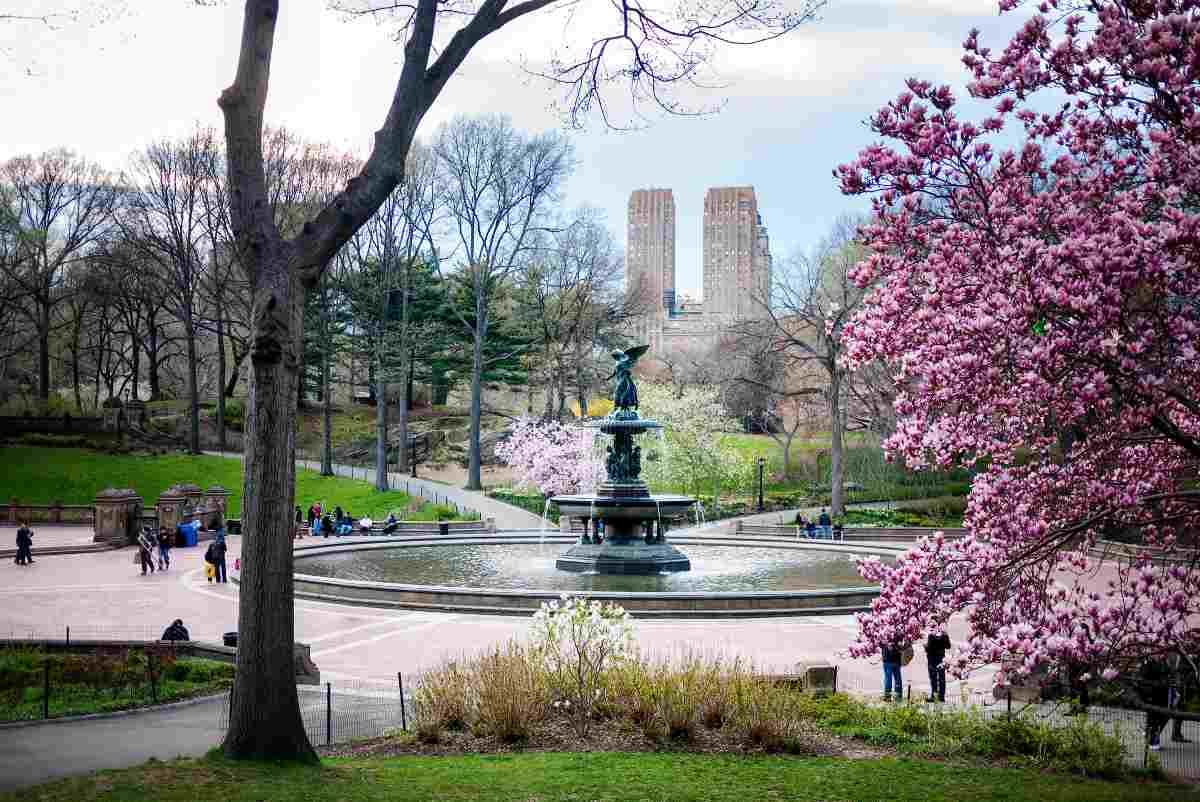 Central Park es un lugar muy concurrido por los neoyorquinos (Foto: shutterstock)