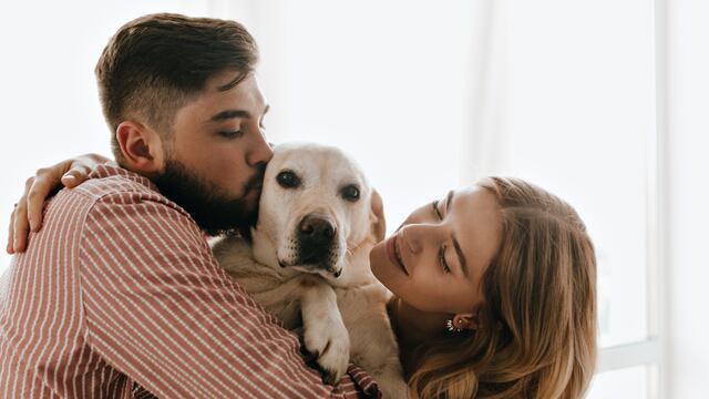 Día Mundial del Perro: ¿Cómo podemos engreír a nuestra mascota en esta fecha tan especial?