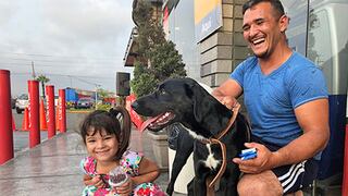 Familia venezolana rescata y adopta a cachorra herida