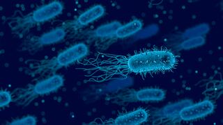 Batería natural: descubren cómo conseguir electricidad del aire gracias a las bacterias