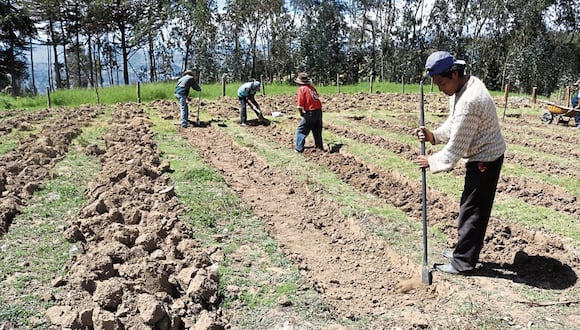 Transferencia contribuirá a la reactivación de las actividades agropecuarias (Foto: Andina)