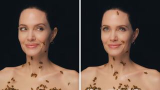 Angelina Jolie cubre su cuerpo de abejas por una buena razón | VIDEO