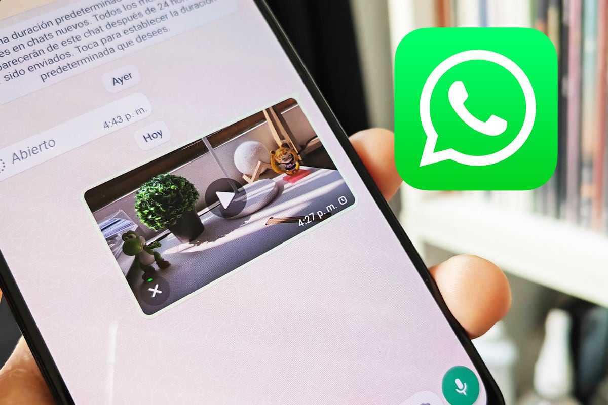 ¿Quieres rescatar un video de WhatsApp? Conoce dónde se guardan en tu celular. (Foto: MAG - Rommel Yupanqui)