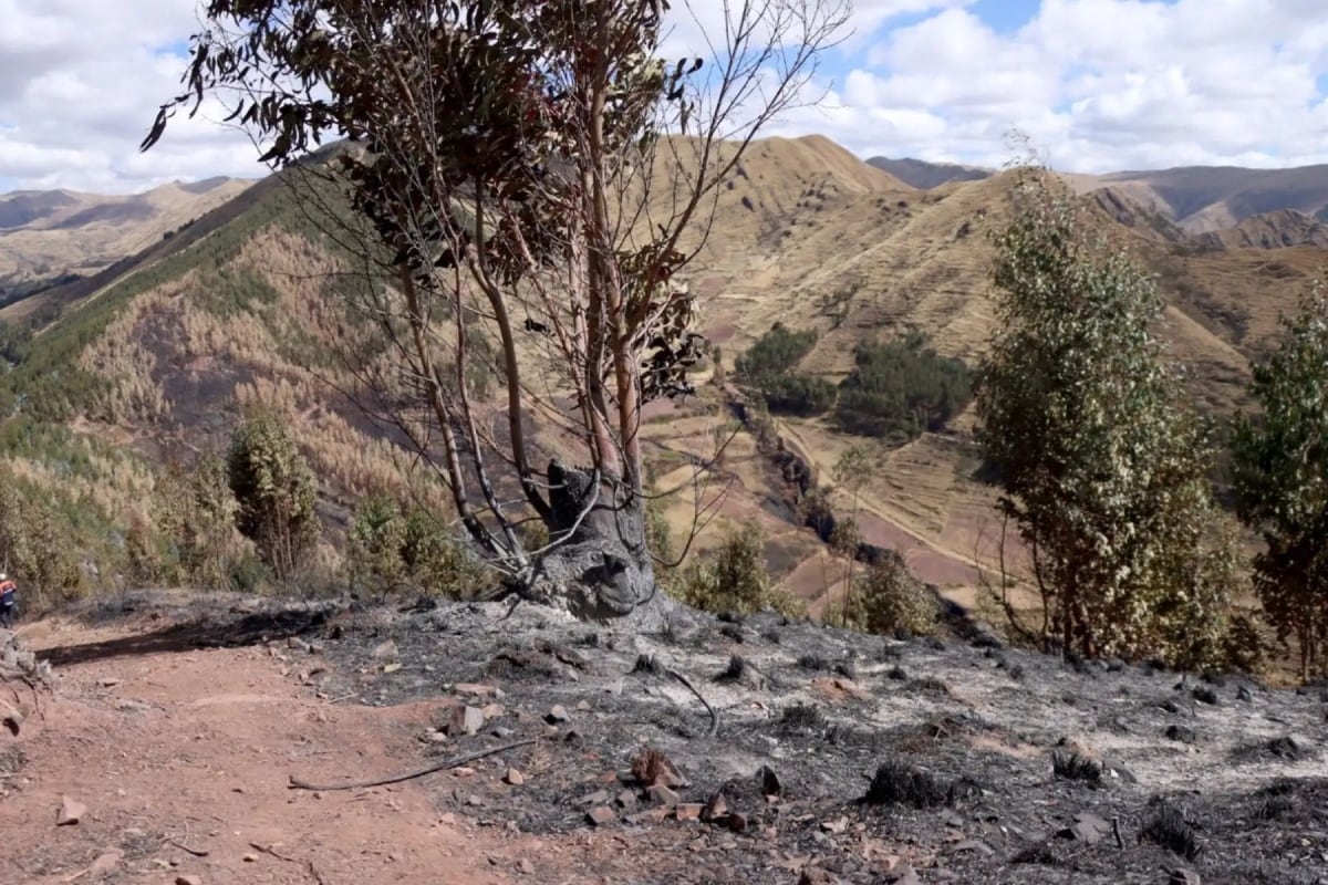 La caída de lluvia ayudó a controlar el incendio forestal en las provincias de Urubamba y Calca. (Foto: Andina)