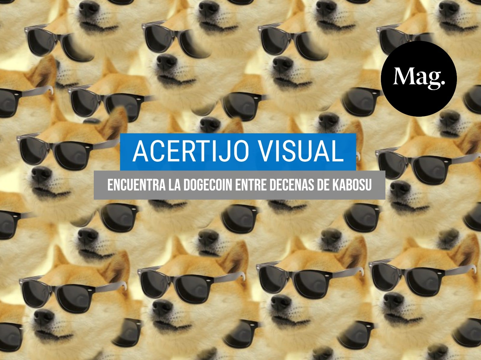 ACERTIJO VISUAL | Este desafío pondrá a prueba qué tan fan eres de Kabosu, la perrita de los memes ‘Doge’. Debes encontrar la criptomoneda ‘Dogecoin’. (Foto: Mag)
