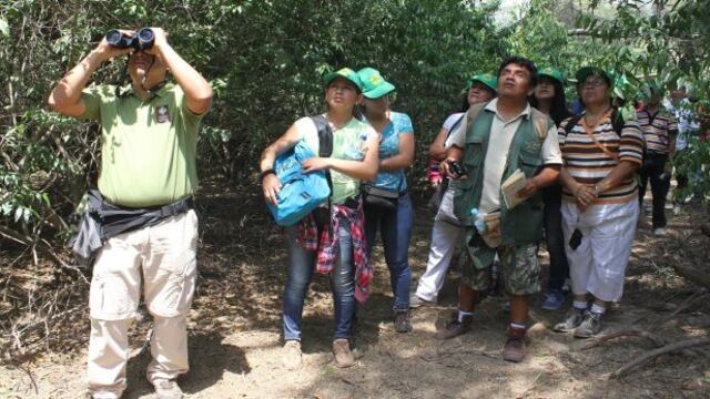 Bosque de Pómac con nueva ruta de aves y actividades turísticas